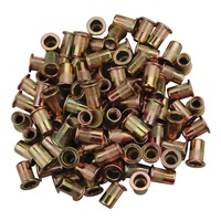 1/4"-20 Zinc-Plated Steel Rivet Nuts - 100Pk